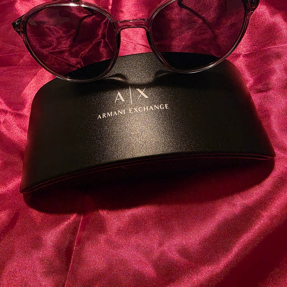 Armani Exchange Dark Sunglasses with Case